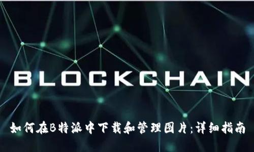 如何在B特派中下载和管理图片：详细指南
